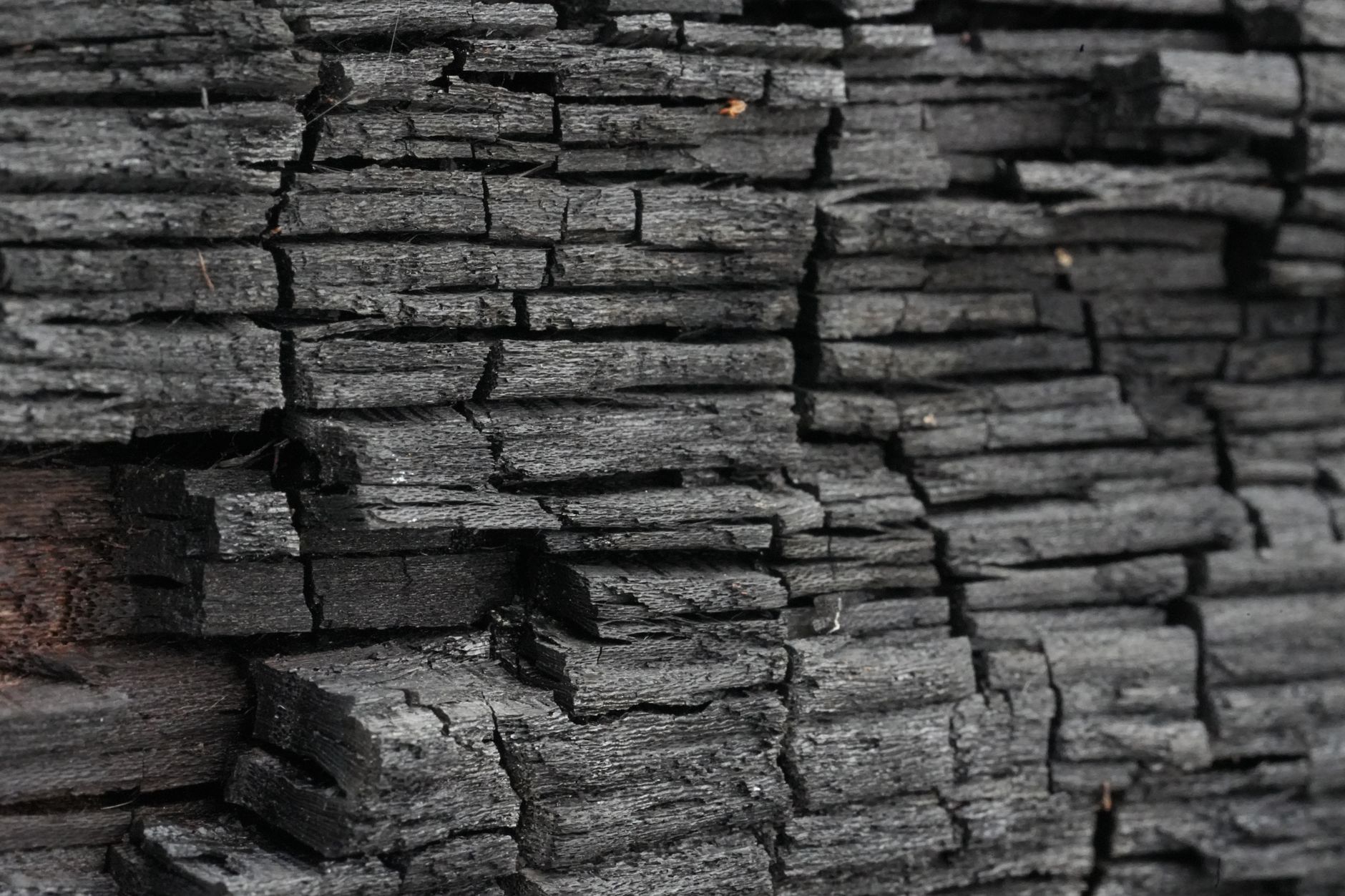 The Blackened Bones of Britain: Why Ancient Charred Timber Is Making a Quiet Comeback