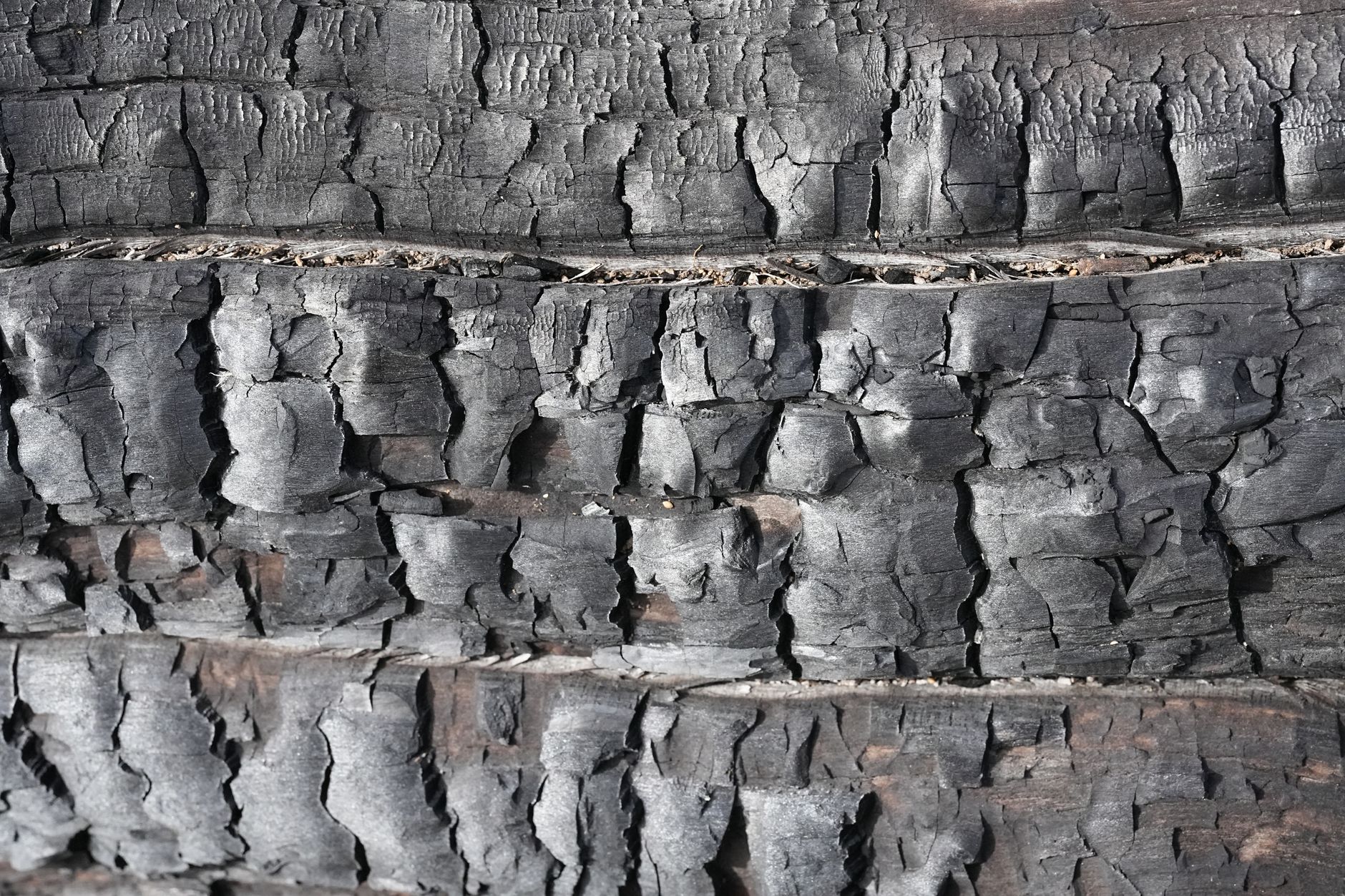 Close-up texture of charred timber surface showing carbon grain and protective coating